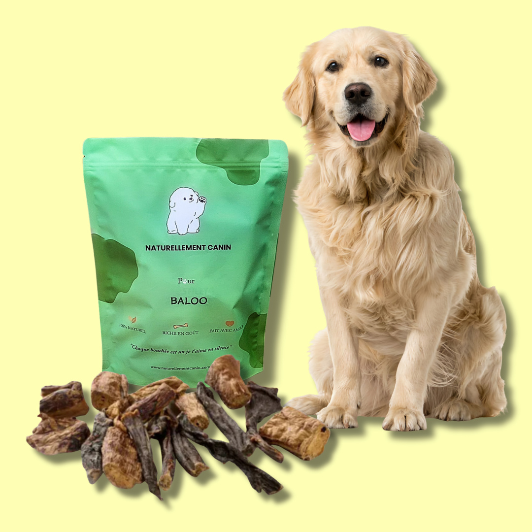 Le Pack Natur'Woof - Friandises 100% Naturelles