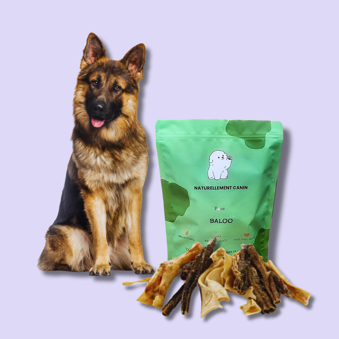 Le Pack Natur'Woof - Friandises 100% Naturelles