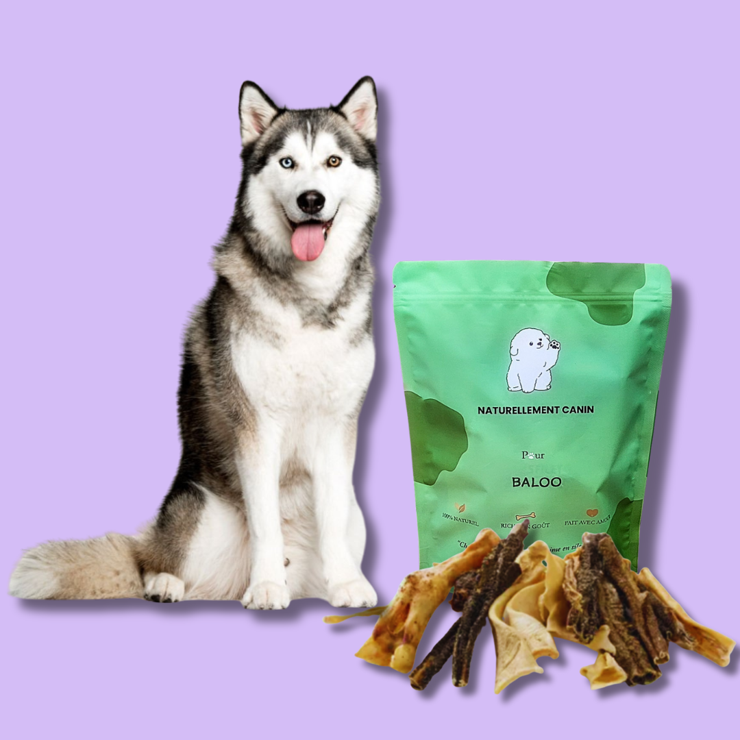 Le Pack Natur'Woof - Friandises 100% Naturelles