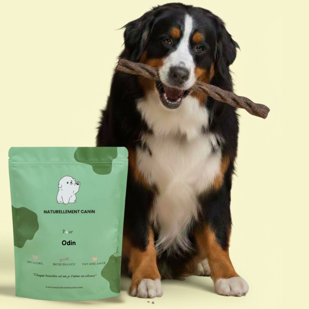 Box Friandises Naturelles pour grand chien