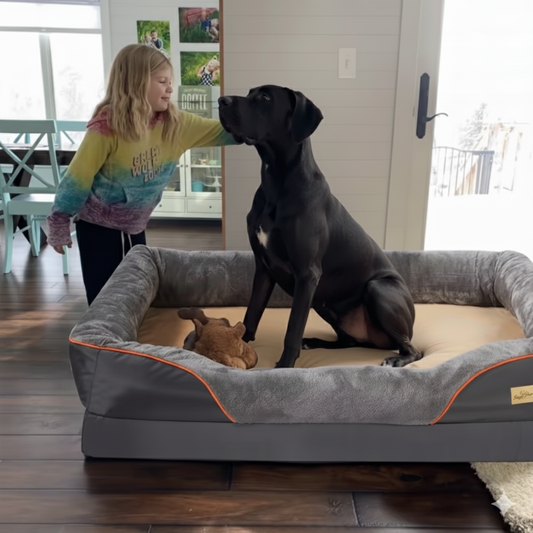 Panier Orthopédique Grand Chien