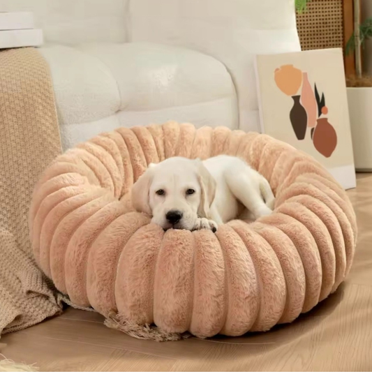 Panier pour Chien Douillet