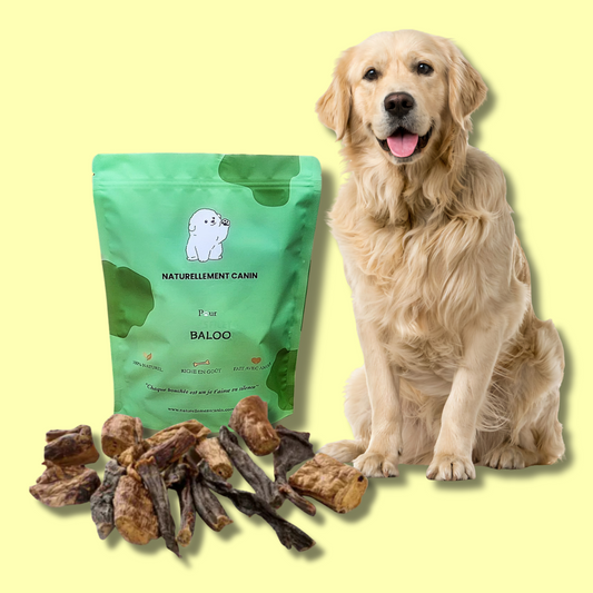 Le Pack Natur'Woof - Friandises 100% Naturelles