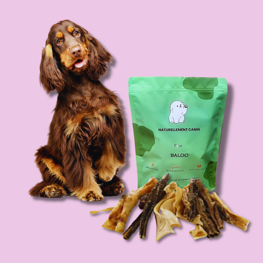 Le Pack Natur'Woof - Friandises 100% Naturelles