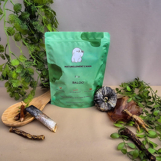 Mini Sélection mixte– Spécial Chiot (+25kg)