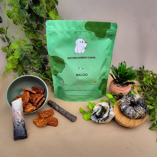 Mini Sélection Poisson – Spécial Sénior (+25kg)