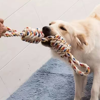 Corde à mâcher pour chien