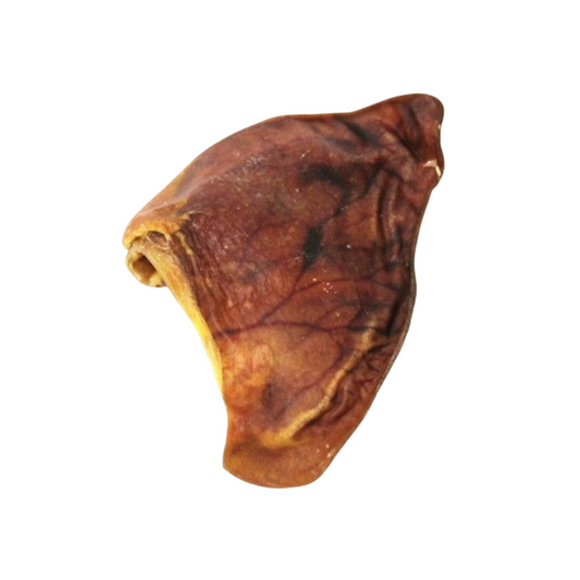 Oreille de porc