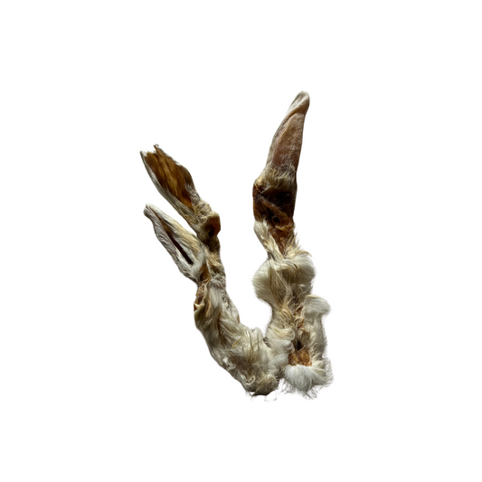 Oreille de lapin avec poil