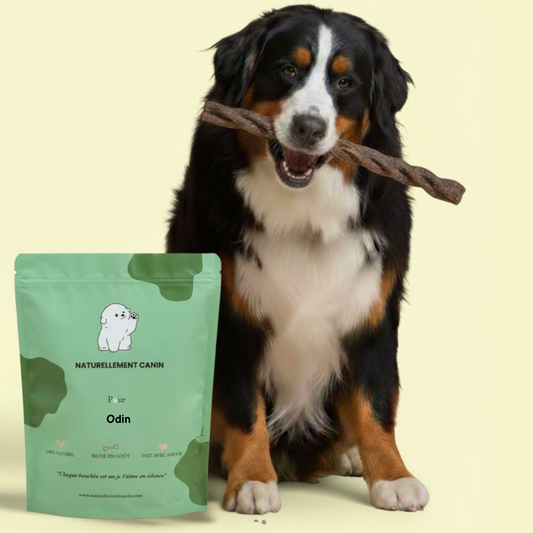 Box Friandises Naturelles pour grand chien