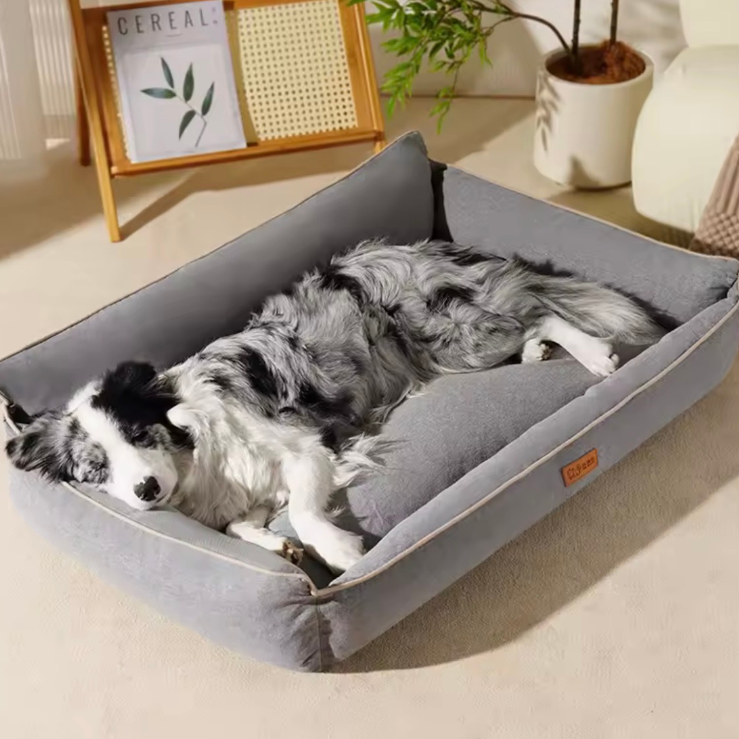 Lit Orthopédique pour Chien