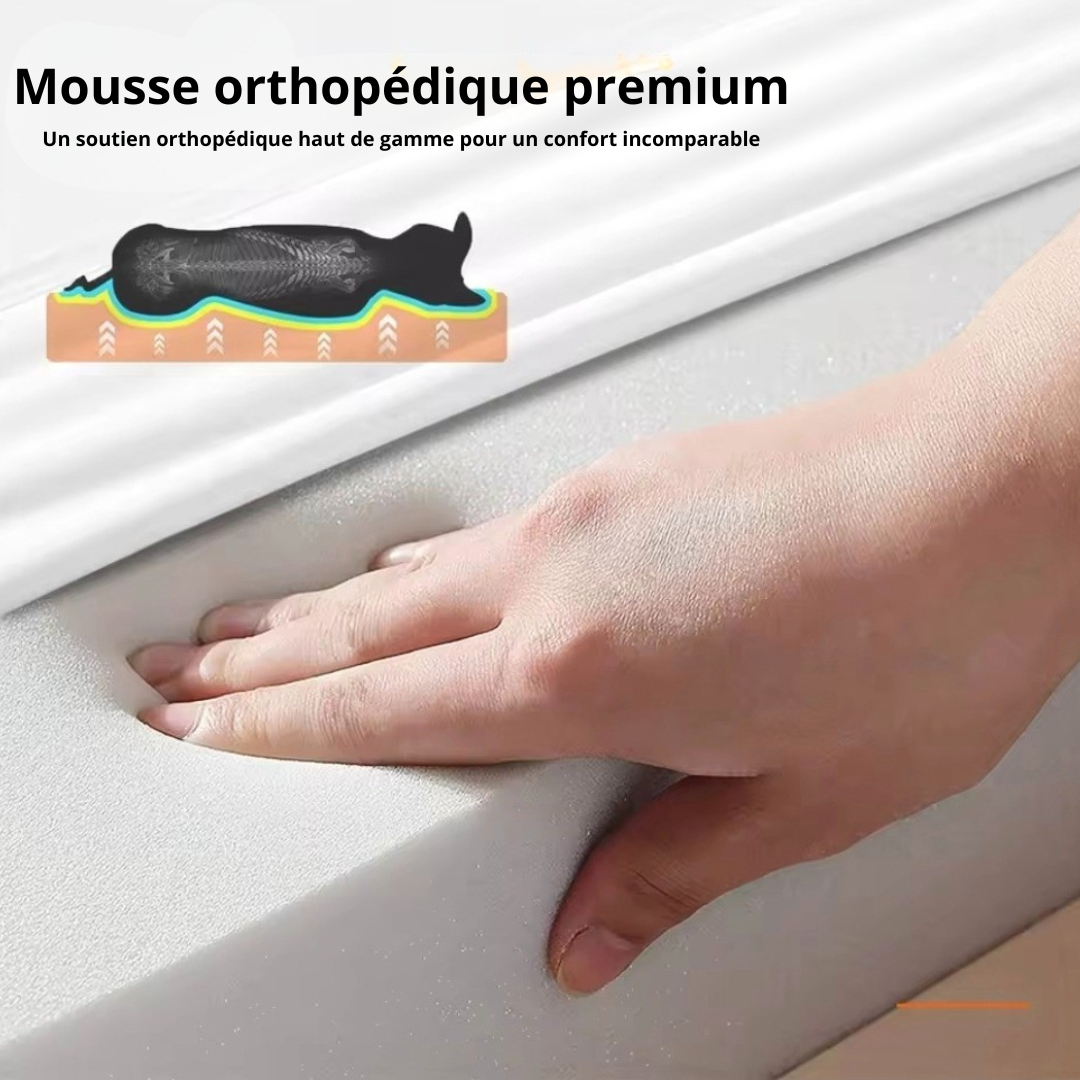 Panier Orthopédique Grand Chien