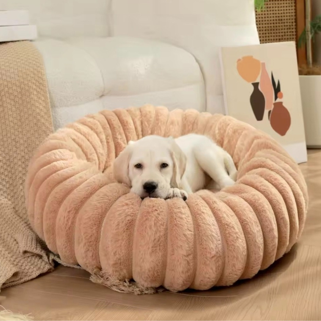 Panier pour Chien Douillet