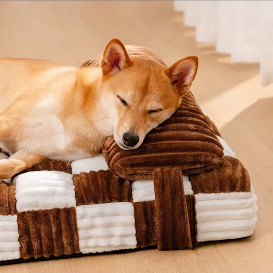 Coussin pour chien Ergonomique