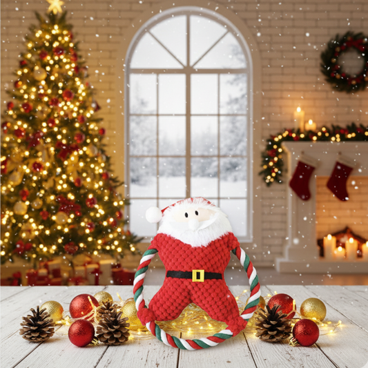 Jouet à mâcher de Noël pour chien