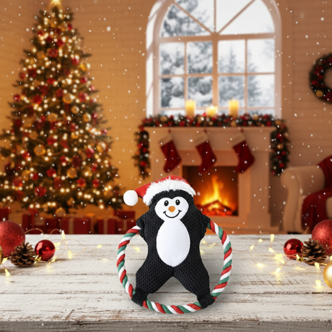 Jouet à mâcher de Noël pour chien