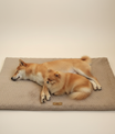 Coussin Relaxant pour Chien