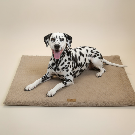 Coussin Relaxant pour Chien