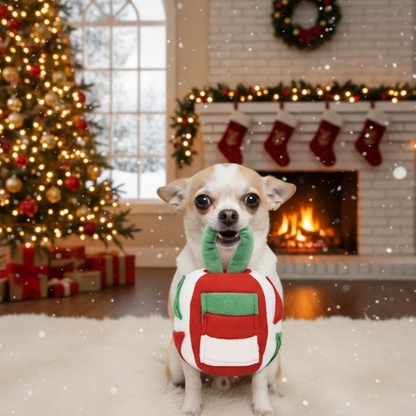 Distributeur de Nourriture pour chien