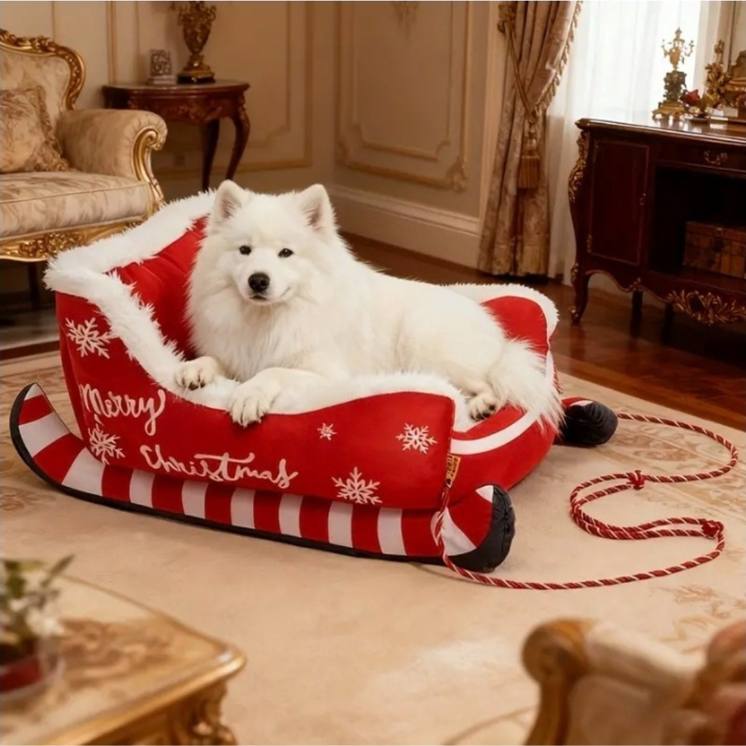 Panier Traîneau de Noël pour Chien